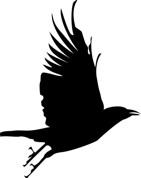 Free Flying Crow Silhouette, Download Free Flying Crow Silhouette png ...