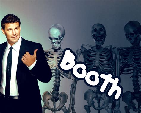 Seeley Booth - Bones Wallpaper (1952821) - Fanpop