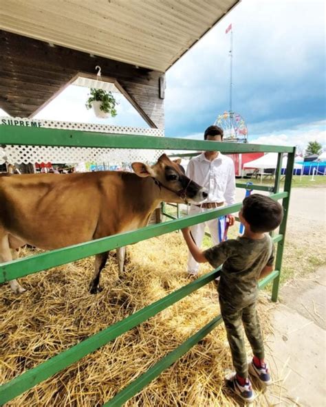 2024 AWESOME Guide to Michigan State Fair & County Fairs