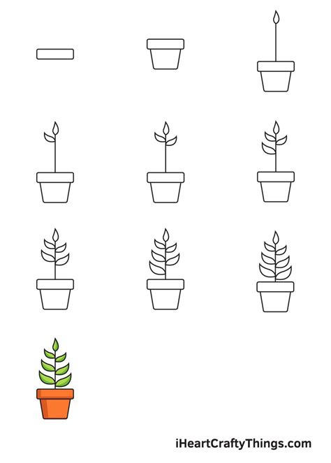 How to Draw a Plant – Step by Step Guide | Plant drawing, Easy flower ...