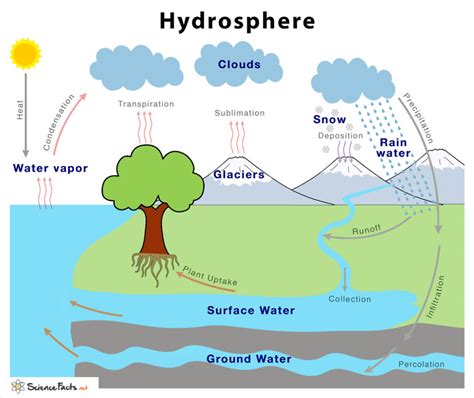 Hydrosphere - Definition, Characteristics, Examples, & Diagram