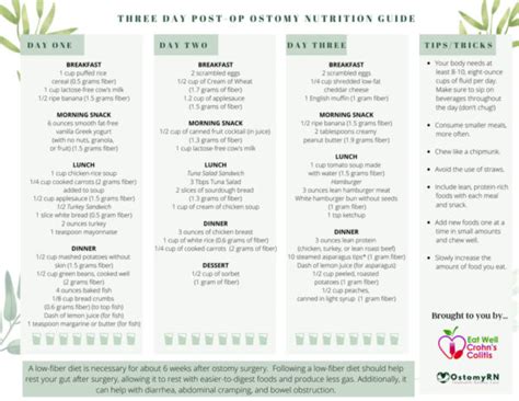 Three-Day Post-Op Ostomy Nutrition Guide - Eat Well Crohn's Colitis