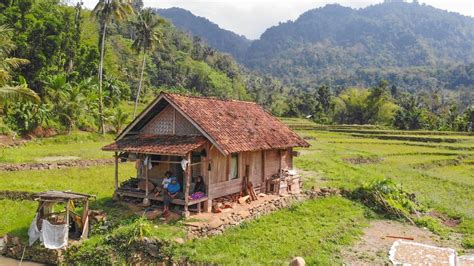 Seperti Inilah Suasana Pedesaan Impian, Rumah Di Sawah Berasa Jaman ...