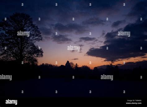 Night Tree Silhouette Stock Photo - Alamy