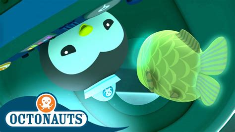 Octonauts - Scary Spookfish & The Jellyfish Bloom | Cartoons for Kids ...