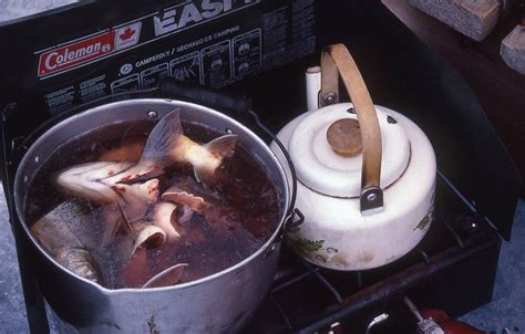 Traditional Inuit Food Recipes - Infoupdate.org