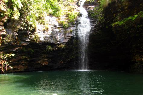 Talakona Waterfalls Andhra Pradesh | Waterfall, National parks, Places