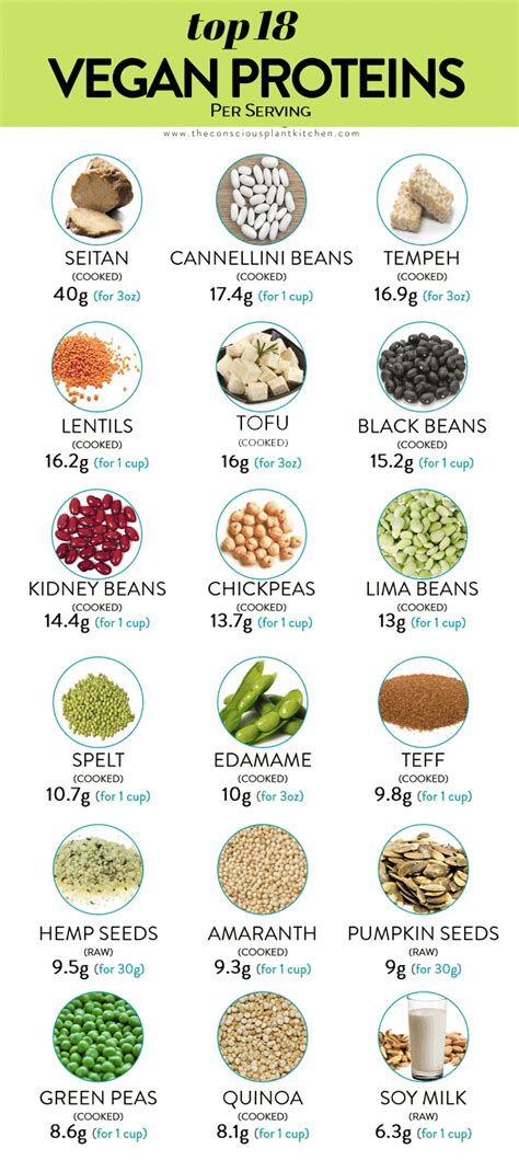 Best Vegan Protein Sources - The Conscious Plant Kitchen