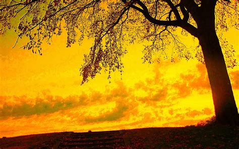 Yellow sky, Yellow Aesthetic Sunset HD wallpaper | Pxfuel