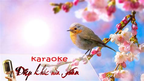 Điệp Khúc Mùa Xuân Karaoke 💐 🌹 🌻 - YouTube