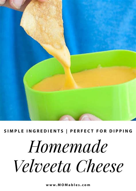 Homemade Velveeta Cheese Dip Recipe