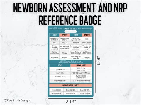 Newborn Assessment NRP Quick Reference Badge Buddy Card - Etsy