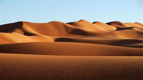 Sahara Desert has grown by 10% since 1920 due to climate change, says ...