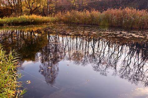 Pond Water Reflection - Free photo on Pixabay - Pixabay