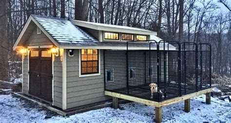 Dog kennel on a platform | Diy dog kennel, Dog house diy, Dog kennel