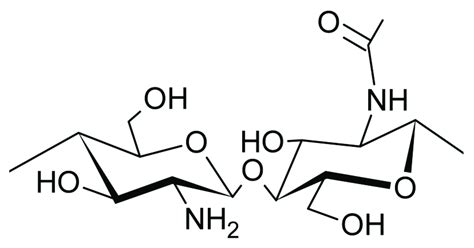 Chemical structure of chitosan. | Download Scientific Diagram