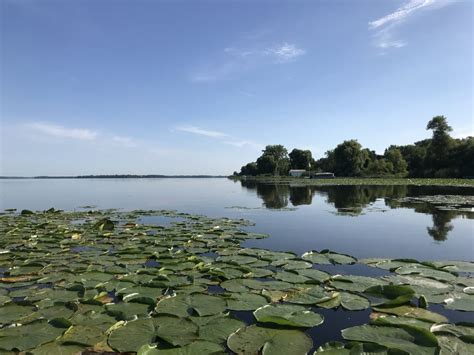 Expanding Community Benefit - Scugog Lake Stewards