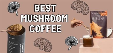 Best Mushroom Coffee - Benefits of Ryze, Four Sigmatic & MUD/WTR - Drug ...