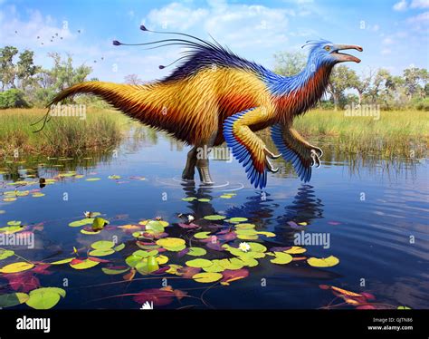 Extinct genus of large hi-res stock photography and images - Alamy