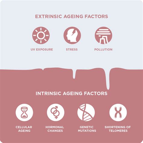 WHAT CAUSES SKIN AGEING? - Nourella