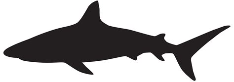 Great white shark Silhouette Clip art - sharks png download - 8000*2808 ...