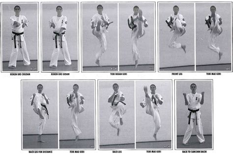 Kyokushin Karate Techniques