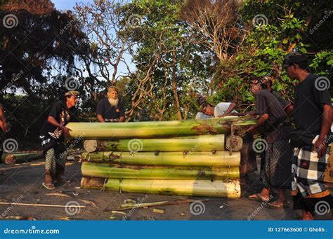 Prepare a Procession of Ngaben Editorial Image - Image of hindus ...