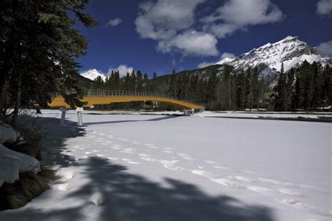 Bow River Pedestrian Bridge and Utility Crossing - Fast + Epp