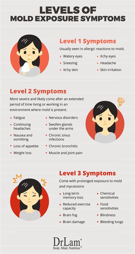 Fundamentals of Mold Exposure Symptoms and Adrenal Fatigue Syndrome