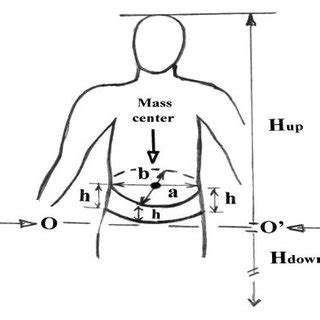 (PDF) METHOD FOR DETERMINING THE HUMAN BODY-MASS CENTER