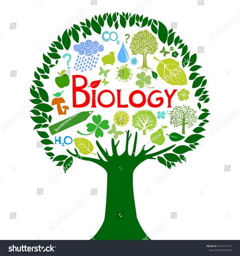 Biology Science Colorful Tree Biology Illustration Stock Vector ...