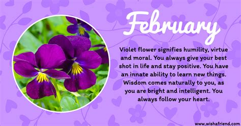 February Birth Flower : Viola