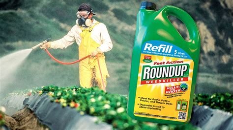 Monsanto glyphosate weed killer could cost Bayer billions in damage ...