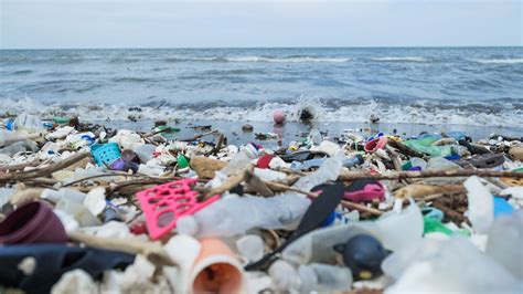 Ocean Plastic Explained • The Ocean Cleanup