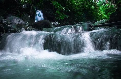 Explore the Monsoon Magic in Goan Village - HinterScapes