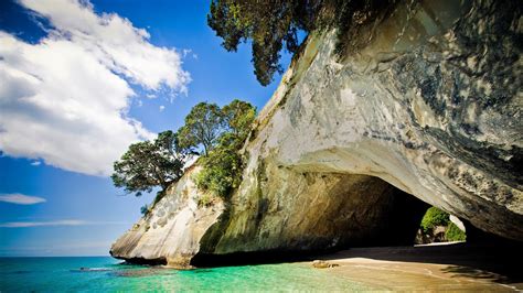 Coromandel Small Group Day Tour - Cathedral Cove & Hot Water Beach ...