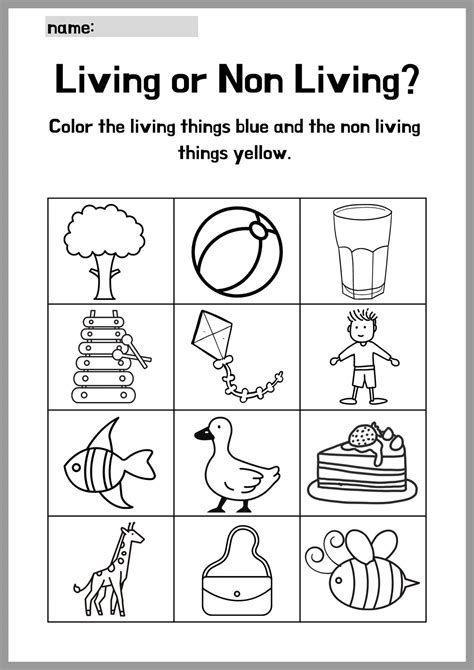 Preschool-Kindergarten Science Animals Printable Worksheets ...