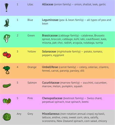 Crop Rotation: How to Rotate Your Vegetable Crops | The Old Farmer's ...