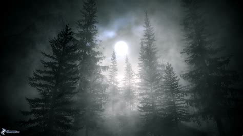 Full Moon Forest Wallpaper : Here you can find the best fantasy moon ...