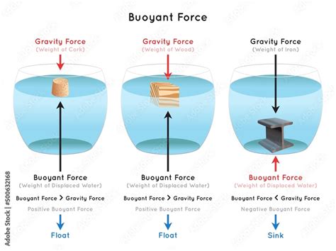 Buoyant Force Infographic diagram examples of cork wood iron showing ...