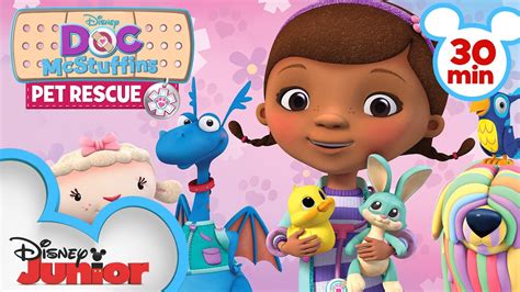 Pet Rescue | 30 Minute Compilation | Doc McStuffins | @disneyjr - YouTube