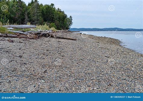 Gravel Beach of Sears Island in Maine Stock Image - Image of beautiful ...