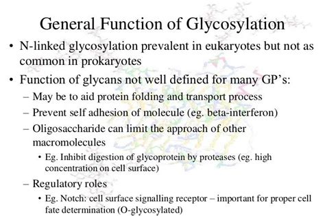 Lecture 7 glycosylation in cell culture