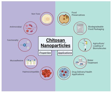 Molecules | Free Full-Text | A Simple Method for Synthesis of Chitosan ...