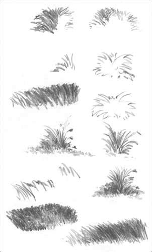 DRAWING GRASS and WEEDS tutorial (part 1) by Diane Wright