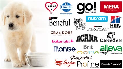 Top 20 Dog Food Brands, 47% OFF | www.elevate.in