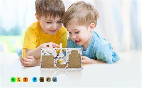 Amazon.com: ELNMLHT Ant Farm Castle, Ant Farms with Yellow Sand and ...