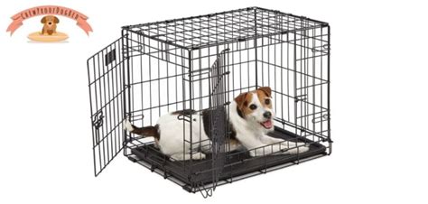 Chew Proof Dog Bed For Crate: Top 8 Beds Ideal for Crate in 2021