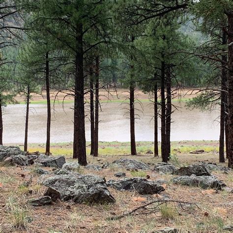 Kaibab National Forest Kaibab Lake Campground | The Dyrt