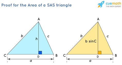 Area of a SAS Triangle - Formula, Examples, Definition